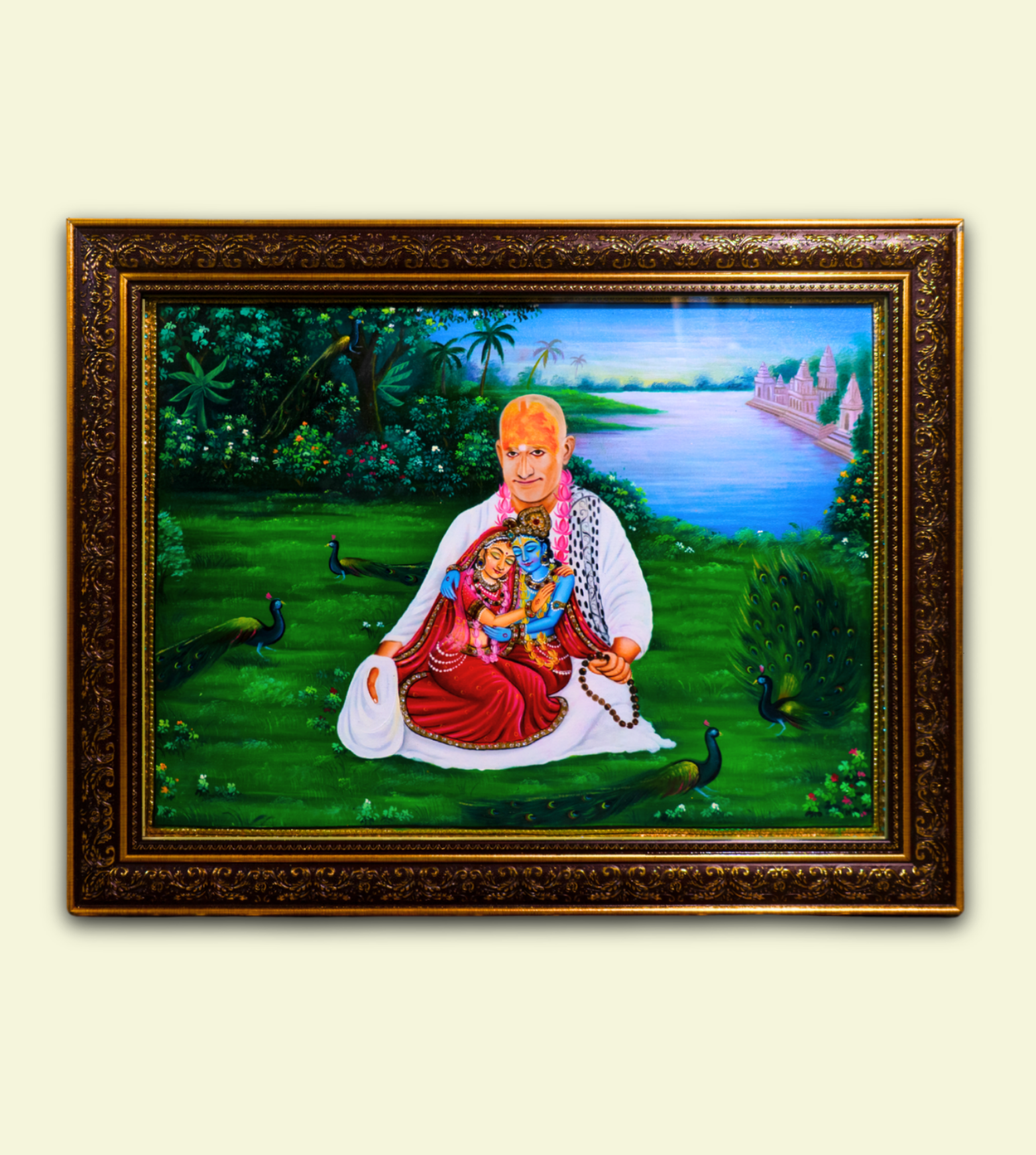 Swami Haridas Radhe Krishna ji